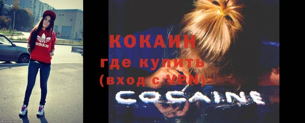 тгк Ладушкин