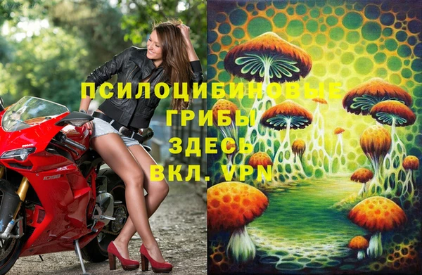 гидропоника Куйбышев