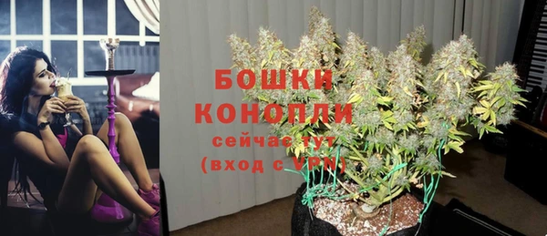 бутират Лагань