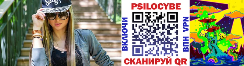 Псилоцибиновые грибы Psilocybine cubensis  Тотьма 